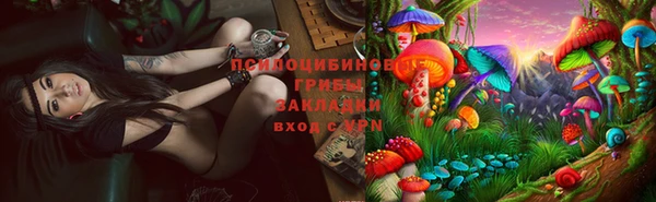 эйфоретик Алексин
