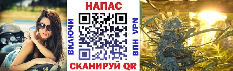 Марихуана SATIVA & INDICA Кохма